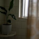 green plant in white ceramic pot